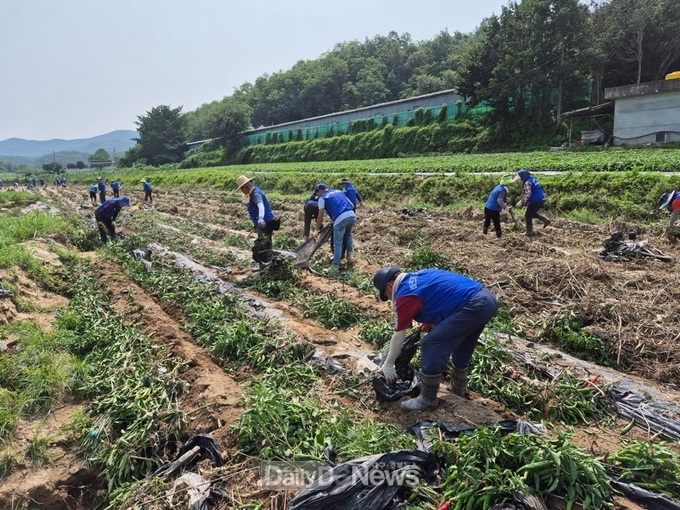 안동시새마을회, 바르게살기운동 안동시협의회 수해복구 앞장