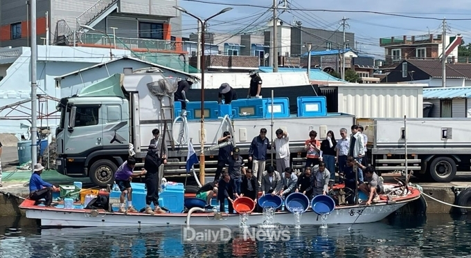 포항시 수산자원 산란 서식장 조피볼락 33만 미 방류