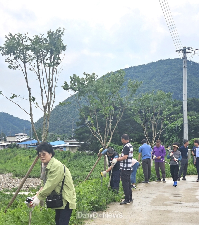 의성 춘산면, 이팝나무 가로수길에 태양광LED 설치