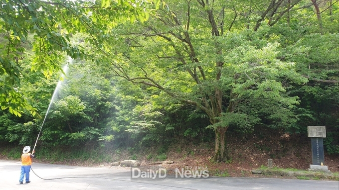 의성군, 여름철 산림병해충 예찰 방제 총력