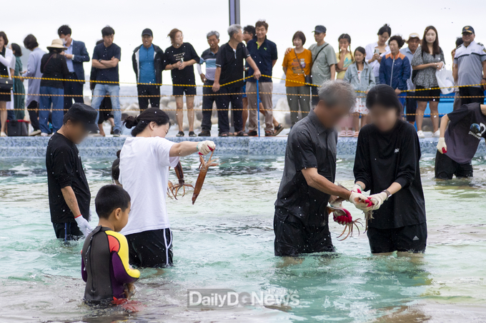 오징어축제