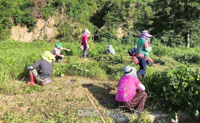 성주군 초전면, 휴가철 맞이 연도변 풀베기로 쾌적한 환경 조성