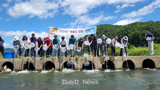 고령군, 버들치 치어 20,000미 방류