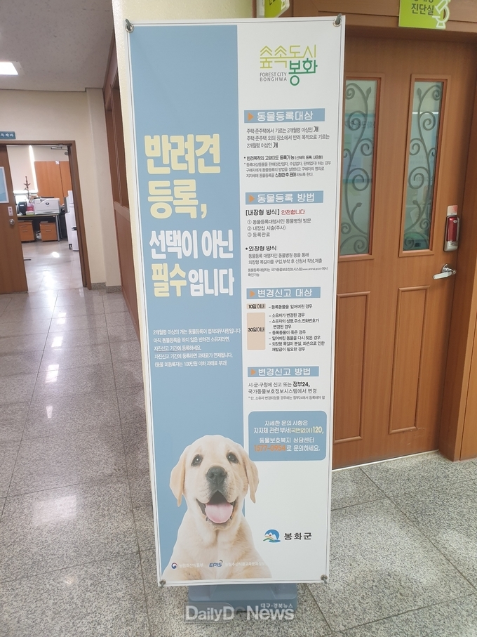봉화군, 동물등록 자진신고 기간 운영 