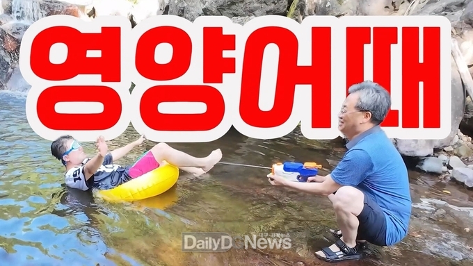 영양군 기초자치단체 브랜드 평판 154계단 껑충