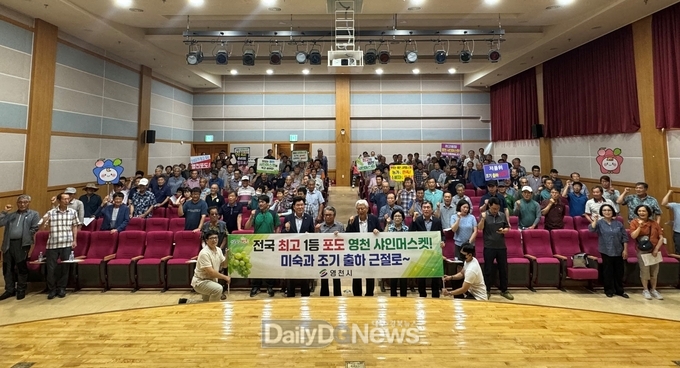 영천시, '스타샤인머스켓' 재배농가 미숙과 출하 근절 나서