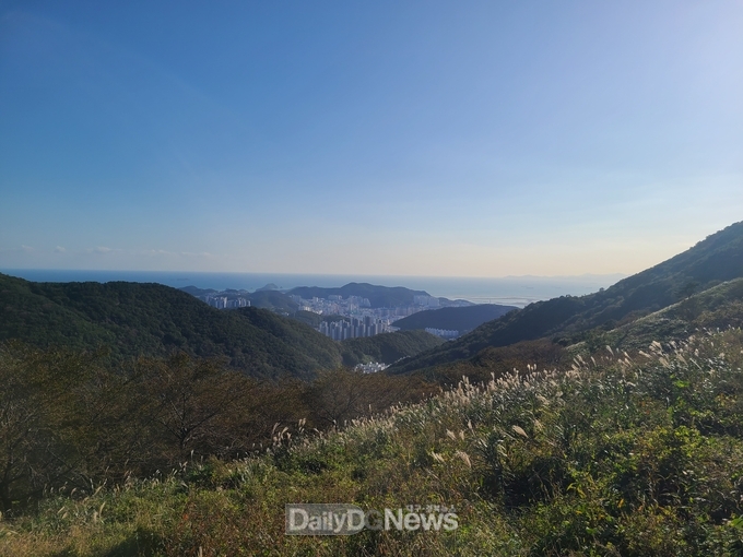 남부지방산림청, 국립부산승학산치유의 숲 시범개장 추진