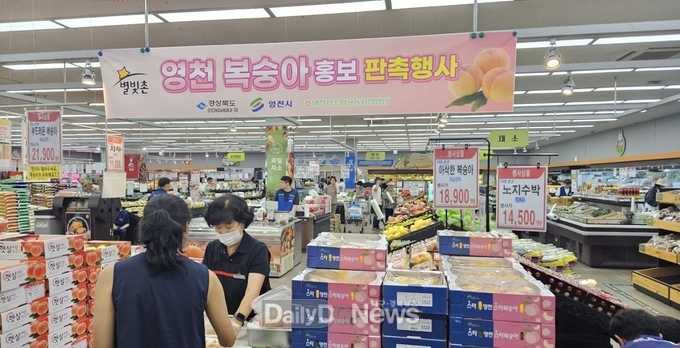 영천시, 제주도 하나로마트 복숭아 판촉행사 성료