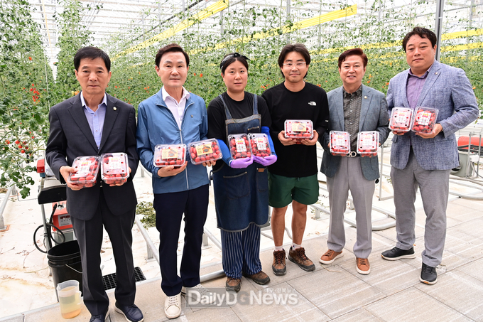 임대형스마트팜에서 재배한 방울토마토 첫 출하!!