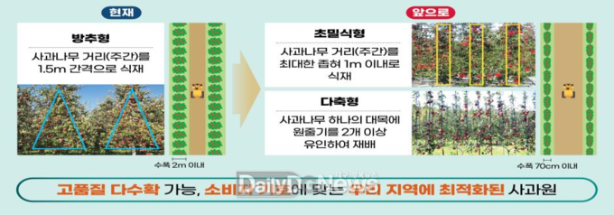 경북형 평면 사과원