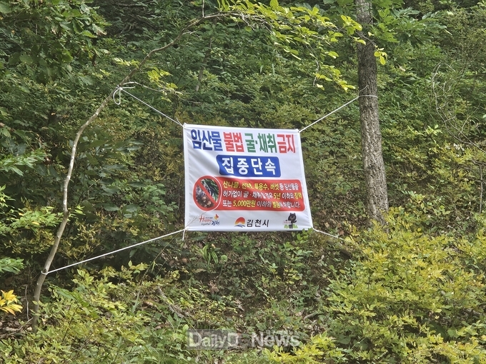 김천시, 2024년 가을철 임산물 불법 채취 단속