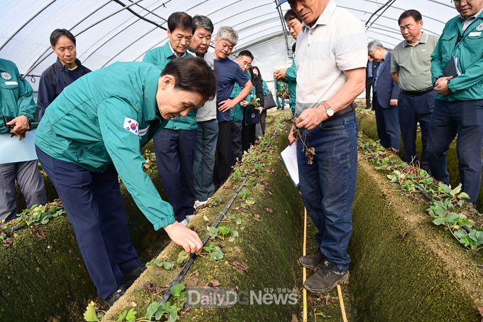고령군, 농작물 고온피해 현장 점검