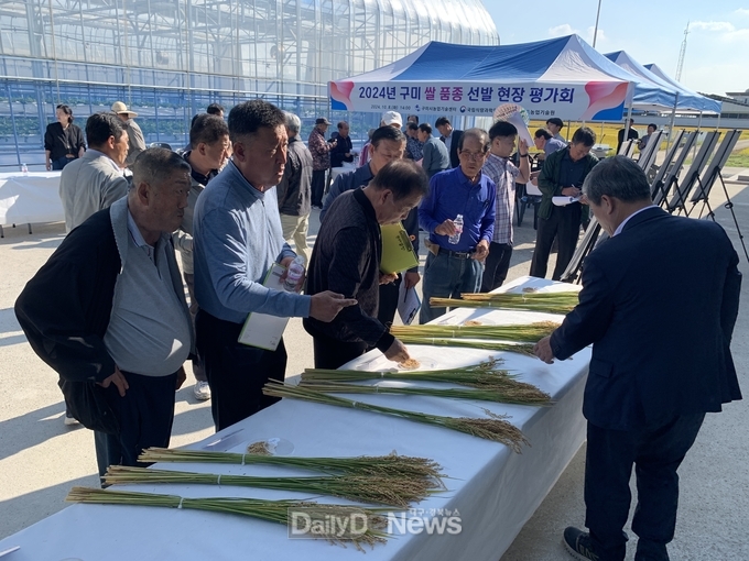 경북도, 도민과 함께 만들어 가는 벼 품종, 수요자 참여형 벼 품종 개발 현장평가회 개최