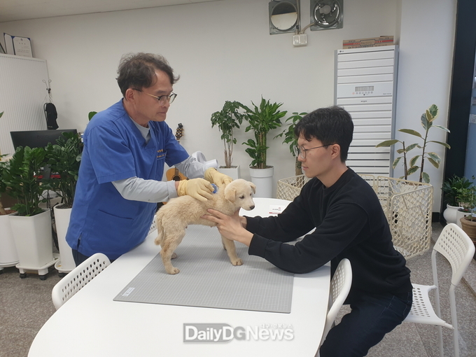 동물등록대행기관(하수의과 동물병원) 한곳이 지정되어 동물등록 업무 수행