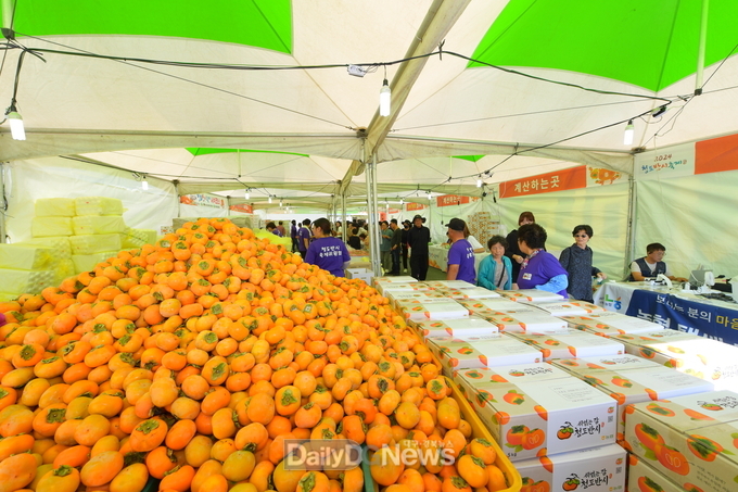 2024 청도반시축제 & 청도세계코미디아트페스티벌 성료