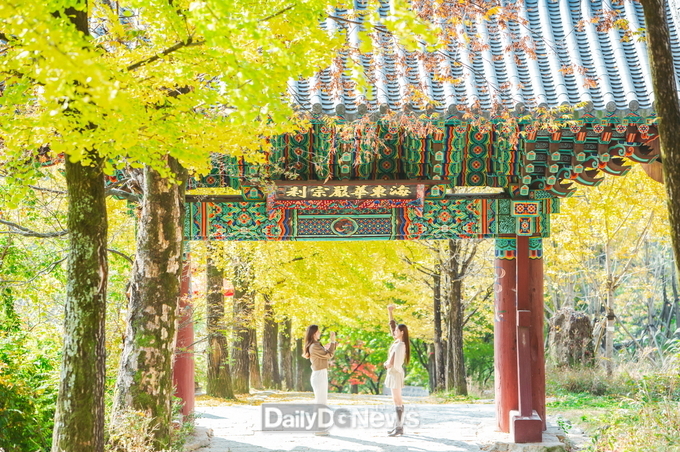  관광객들이 부석사 은행나무숲길에서 사진을 찍고 있다