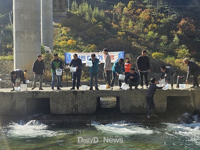 봉화군, 내수면 어자원 증식을 위한 어린 다슬기 방류