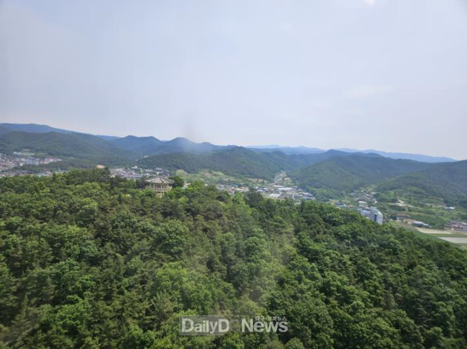 의성군, 24년 하반기 소나무재선충병 방제사업 실시