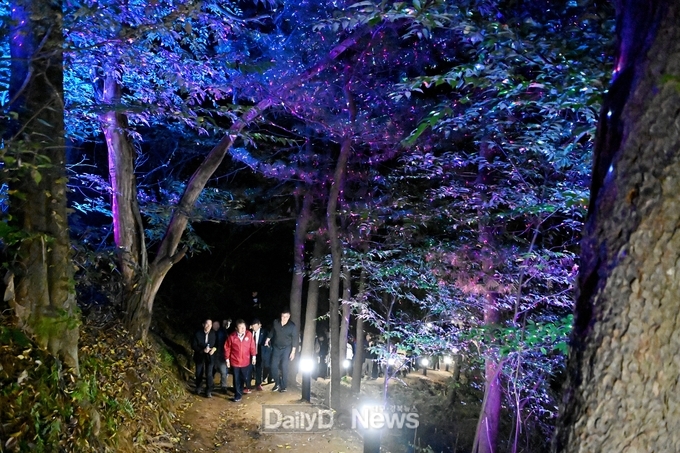 고성산 둘레길 경관조명 점등식