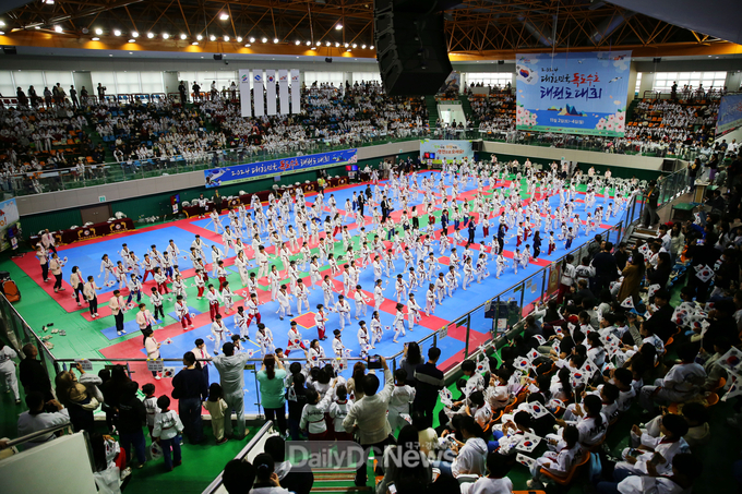 영천시, 2024 대한민국 독도수호태권도대회 성황리에 개최