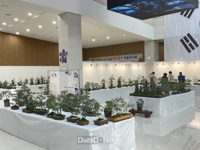 구미시, '국화 전시회' 개최