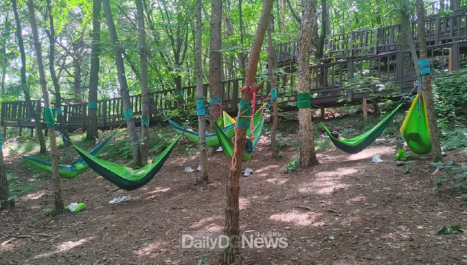 교직원 직무연수 프로그램 ‘포레스트 에듀힐링’ 캠프에 참여한 교원들이 숲속 해먹을 통하여 숲 명상 프로그램을 체험하고 있다. 한국산림복지진흥원 국립산림치유원 제공