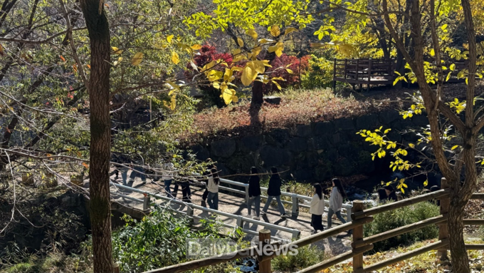 한국산림복지진흥원 국립산림치유원 제공