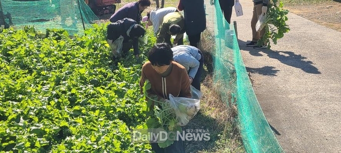 청도군, 친환경농업체험마을 행사 개최