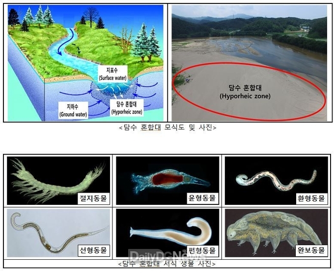 국립낙동강생물자원관, 지표수-지하수 혼합대 생물다양성 심포지엄 개최