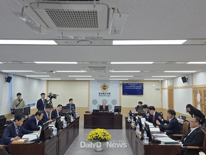 행정보건복지위원회, 경북여성정책개발원, 저출생극복본부 2024년 행정사무감사