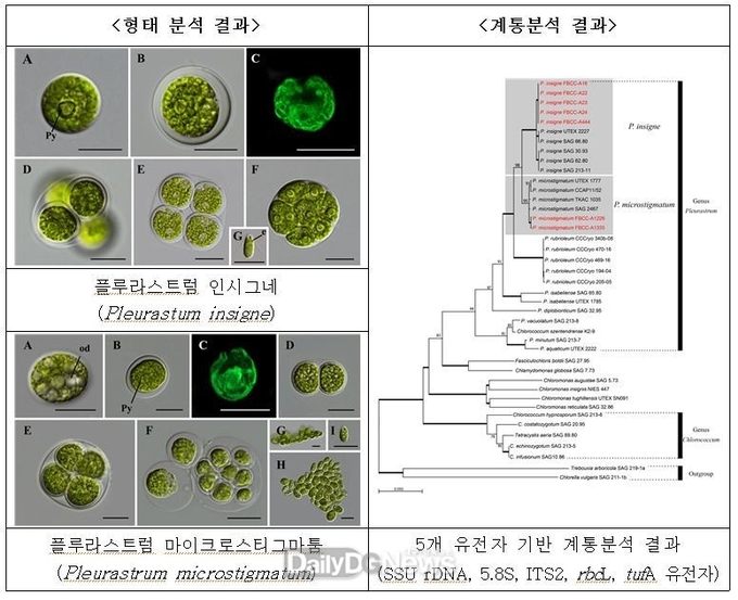 국립낙동강생물자원관 김유호 연구원, 한국조류학회 우수논문상 수상