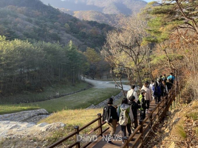 한국산림복지진흥원 국립산림치유원 제공