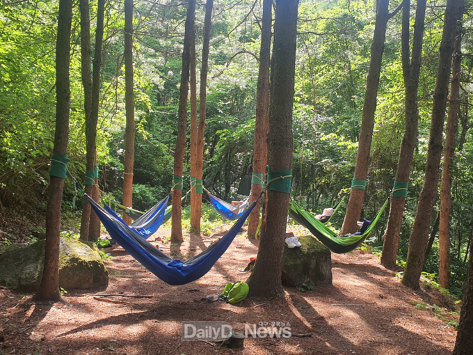 국립산림치유원 산림치유 가족캠프 ‘숲 명상’ 산림치유프로그램에 참여 중인 모습. 한국산림복지진흥원 국립산림치유원 제공