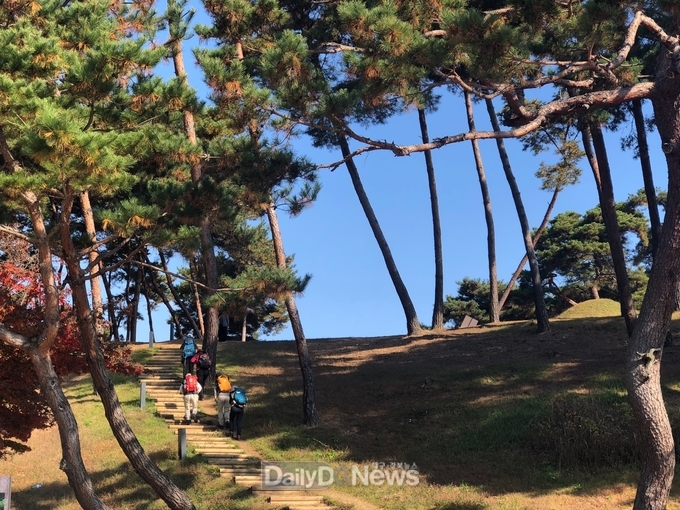 2024 세계유산축전-가야고분군-고령 지산동 고분군 플로깅 챌린지로 대단원 마무리