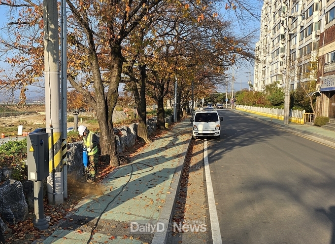 성주군, 성밖숲 일원 가로수 시비 시행