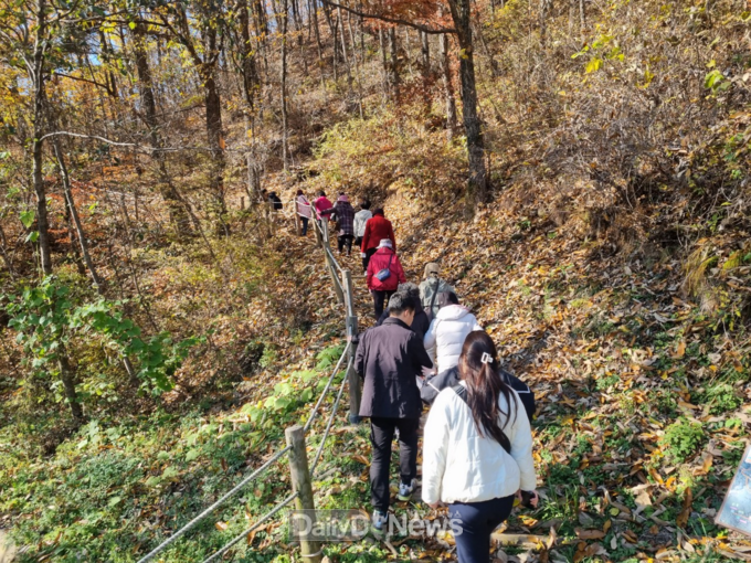 국립산림치유원에서 “으쌰! 으쌰! 숲속 운동” 프로그램을 참여하고 있다. 한국산림복지진흥원 국립산림치유원 제공