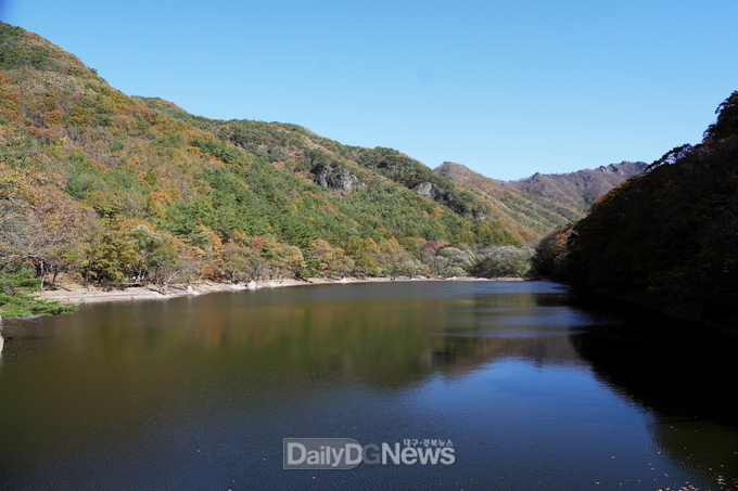 청송군, 주산지 왕버들 복원사업 시행