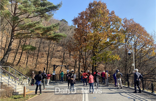한국산림복지진흥원 국립산림치유원 제공