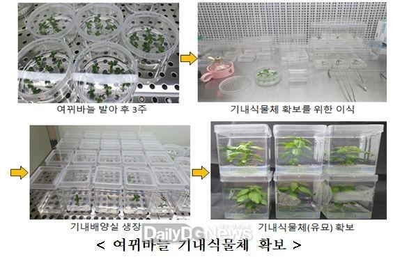 국립낙동강생물자원관, 담수식물 여뀌바늘에서 항암 효과 발견