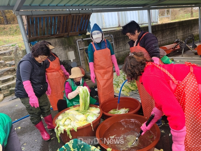 성주군 월항면 새마을회, 사랑의 김장나눔 봉사활동