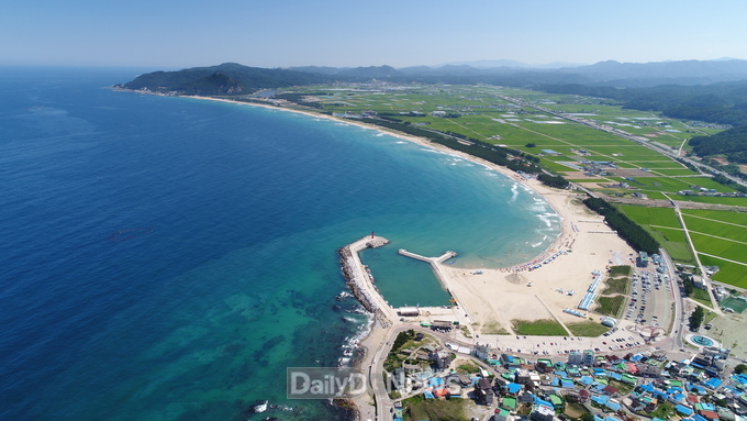 고래불해안