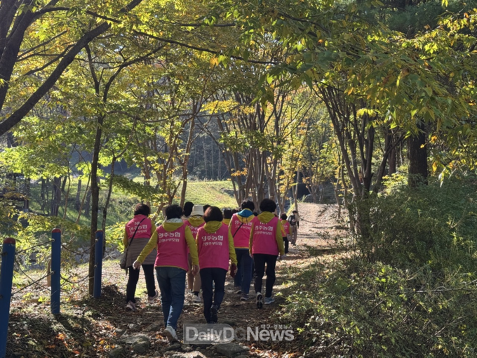 국립산림치유원 ‘시니어웰라이프 캠프’에 참여한 참가자들이 ‘숲을 거닐다’ 프로그램을 체험하고 있다. 한국산림복지진흥원 국립산림치유원 제공