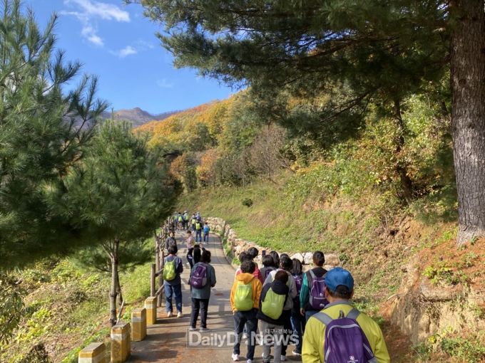 국립산림치유원 산림복지서비스 이용권 지원사업 ‘나다운 숲’에서 가을 숲을 걷는 참가자들의 모습. 한국산림복지진흥원 국립산림치유원 제공