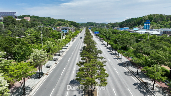 산림청 선정 _우수 관리 가로수길_ 서원로