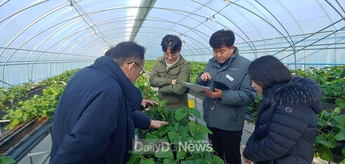 농식품부 유통소비정책관, ‘고령군’ 시설채소 수급관련 현장 방문