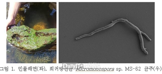 국립낙동강생물자원관, 암 세포 생장에 필요한 단백질 저해 효능 확인 및 특허 출원