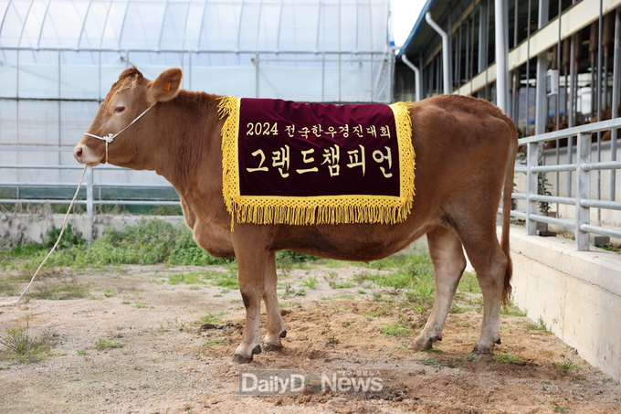 그랜드챔피언(소)