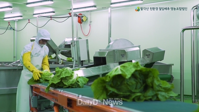 달산공동영농지구(절임배추_가공
