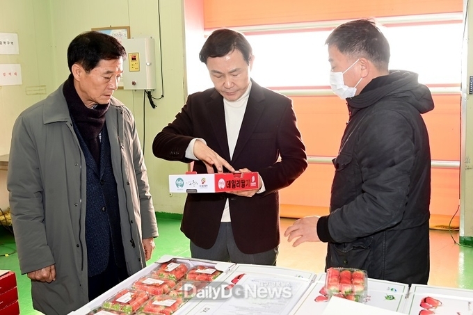 고령딸기 베트남, 홍콩 시작으로 본격적인 수출길 올라