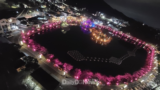 김천시 교동 연화지, 벚나무와 빛의 향연